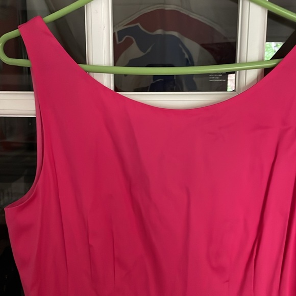 Kate Spade Mandy dress fuchsia pink with cream stripes at the bottom size 12 - Picture 4 of 5